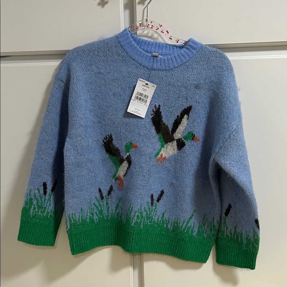 Next Blue and Green Mallard Duck Sweater NWT XSP
